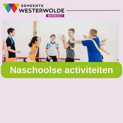 Activiteiten format website 